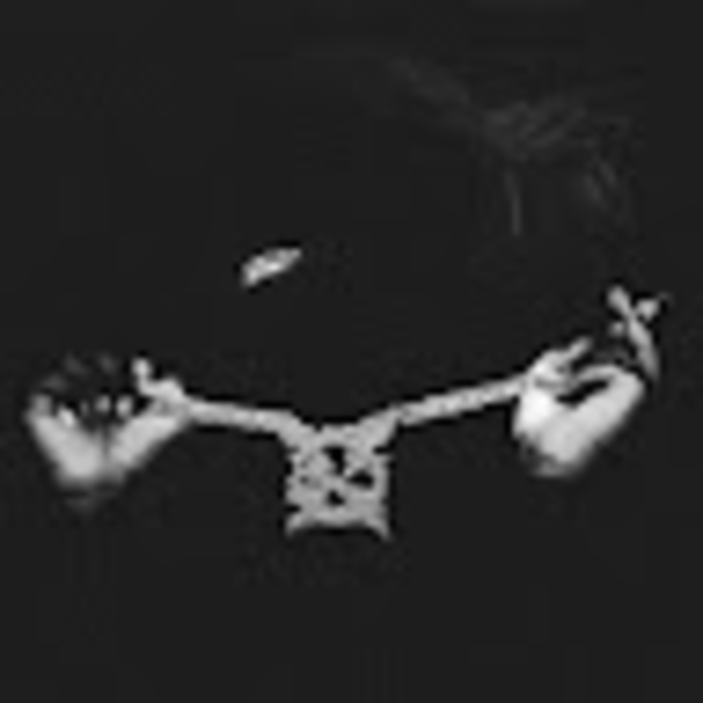 Meet your Posher, Bryan